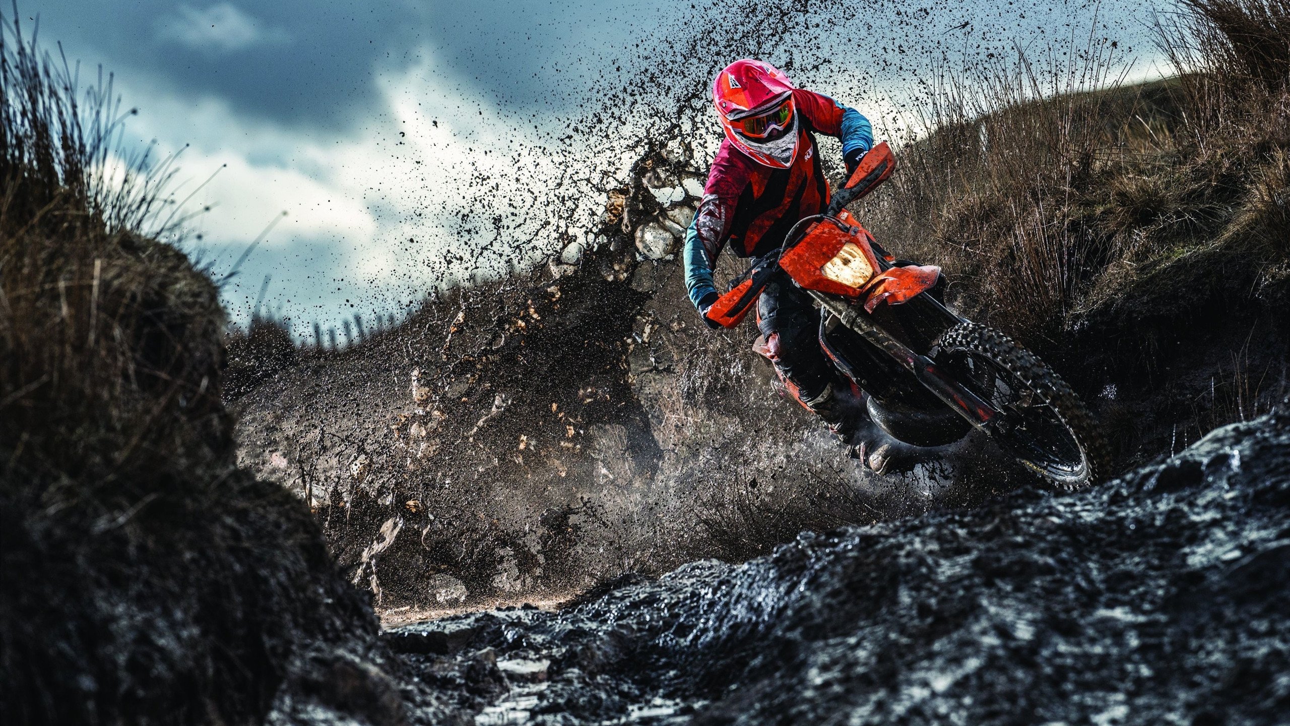 横扫法网，刷新纪录，兹维列夫年终总决赛的传奇时刻